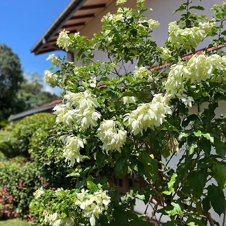 Garden Haven Hikkaduwa Villa Dış mekan fotoğraf