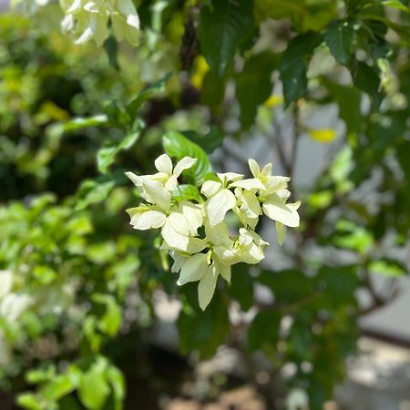 Garden Haven Hikkaduwa Villa Dış mekan fotoğraf